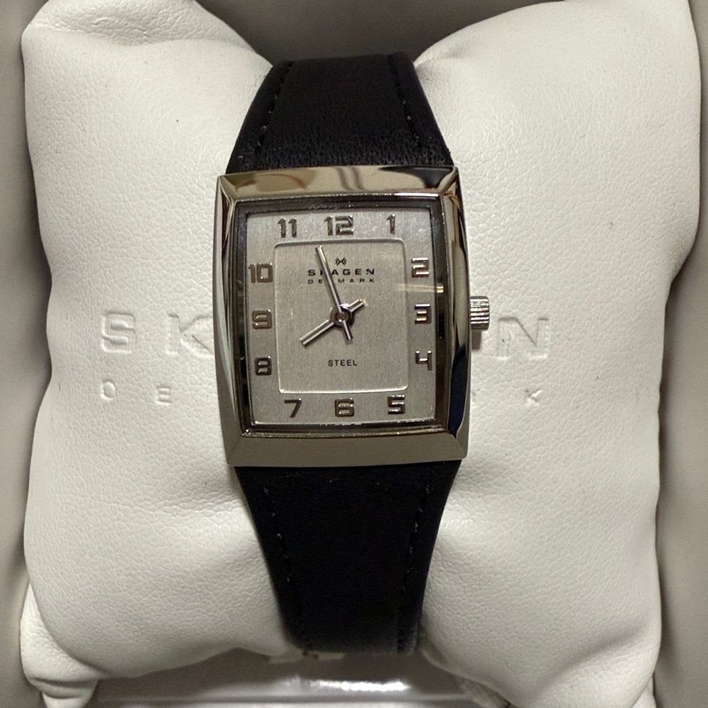 Skagen Steel Watch with Black Band
